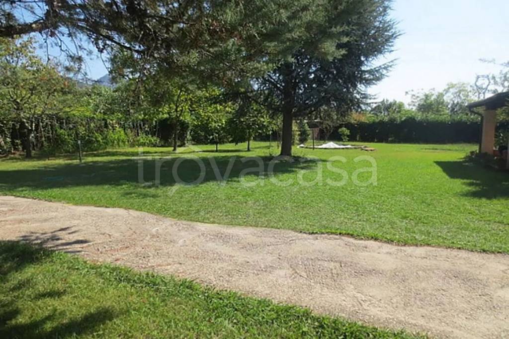 immagine annuncio 8 di 14