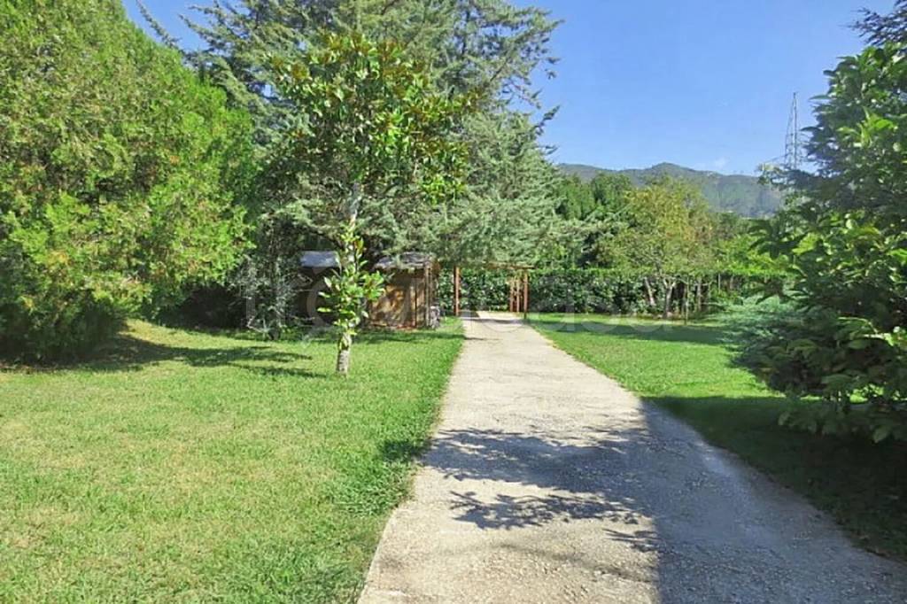 immagine annuncio 9 di 14