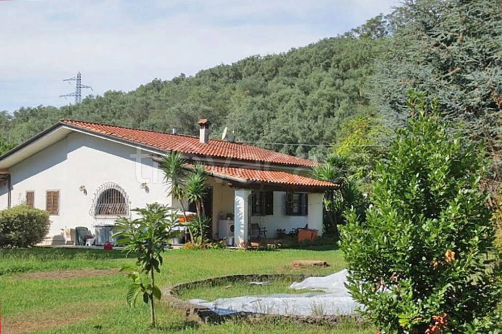 immagine annuncio 13 di 14