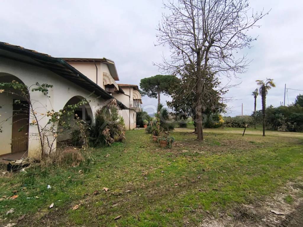 immagine annuncio 2 di 9