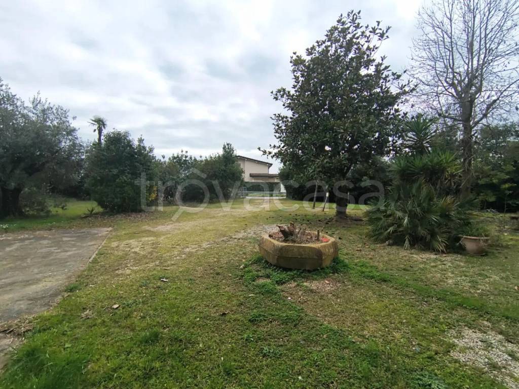 immagine annuncio 4 di 9