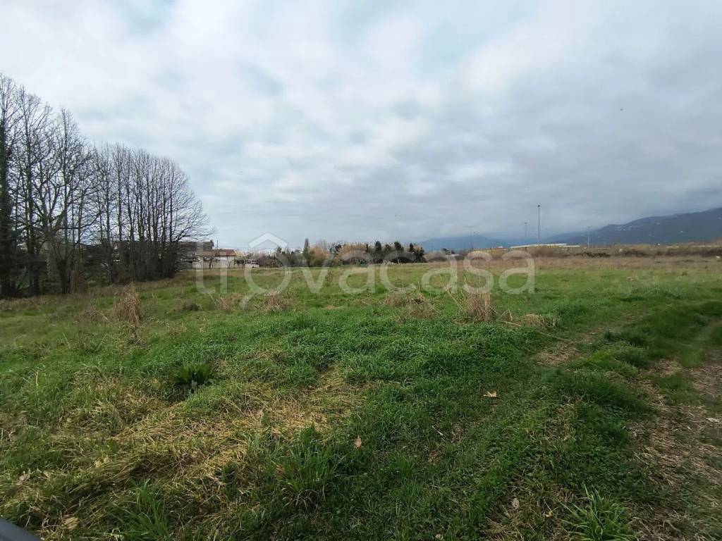 immagine annuncio 7 di 9