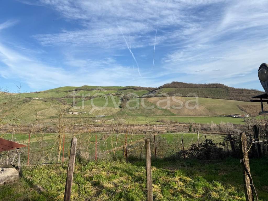 immagine annuncio 4 di 14