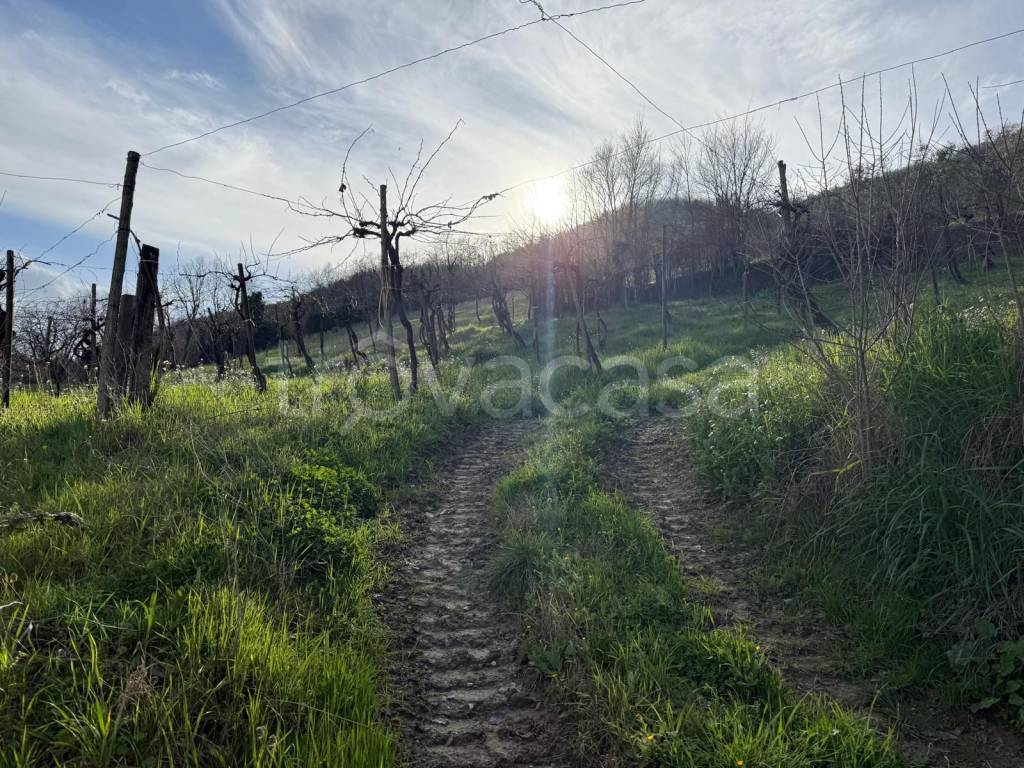 immagine annuncio 7 di 14