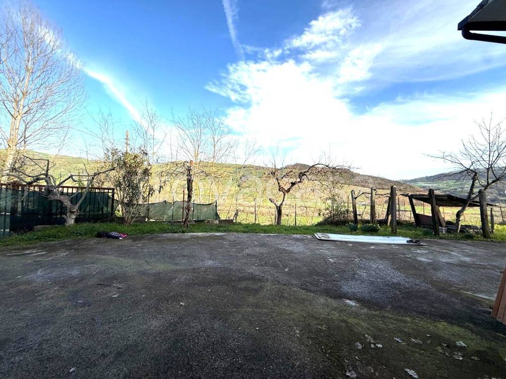 immagine annuncio 9 di 14