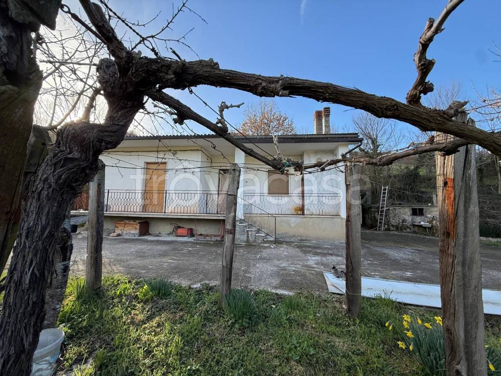 immagine annuncio 10 di 14