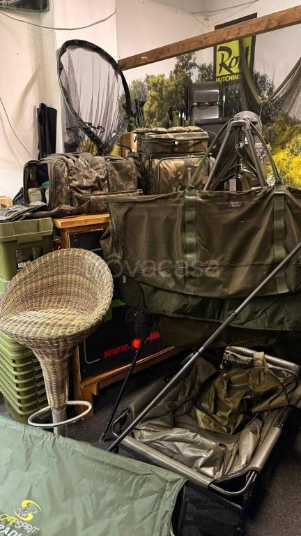 immagine annuncio 1 di 14