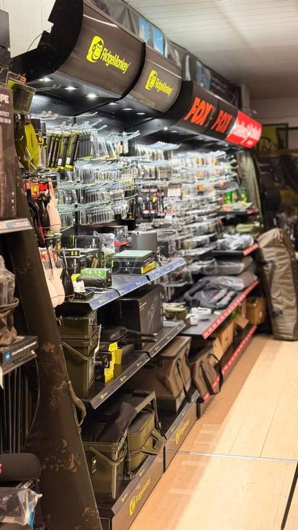 immagine annuncio 3 di 14