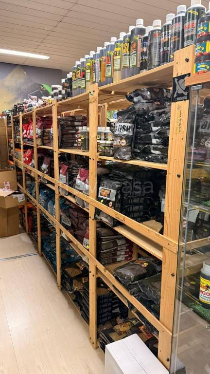 immagine annuncio 9 di 14