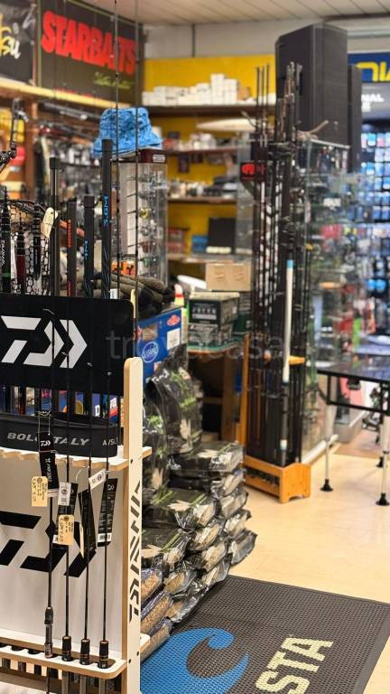 immagine annuncio 11 di 14