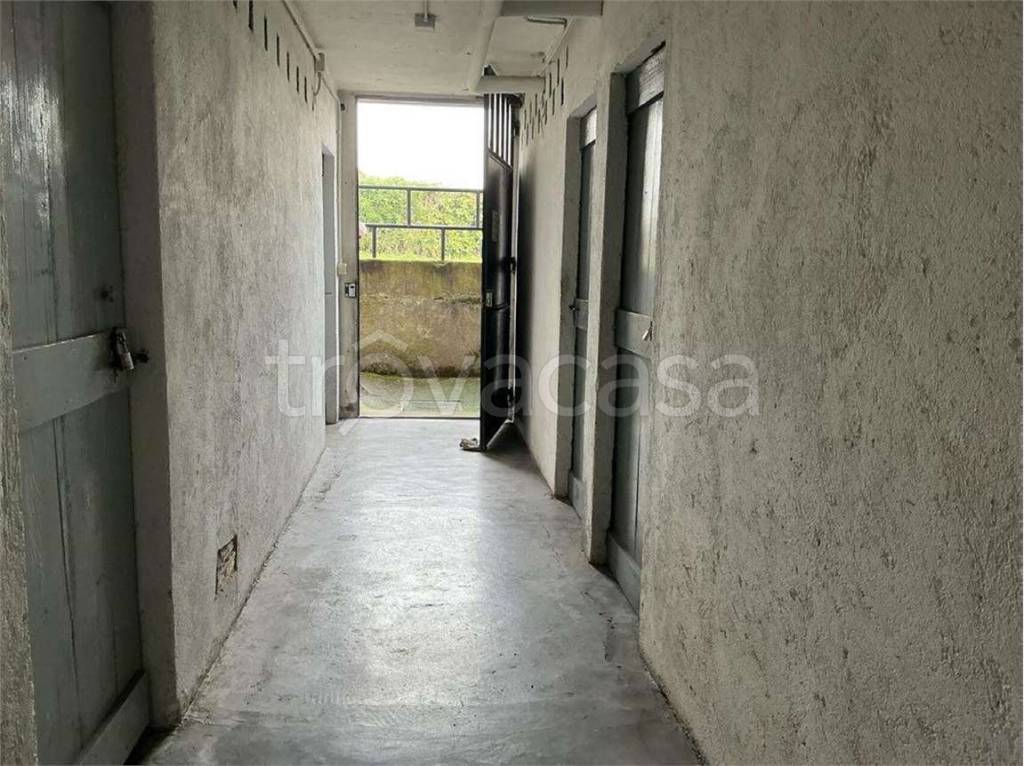 immagine annuncio 7 di 14