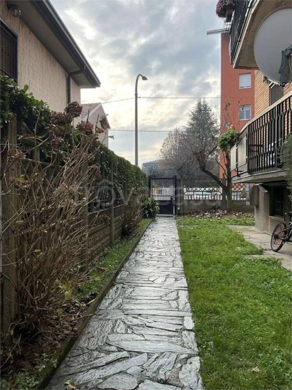 immagine annuncio 12 di 14