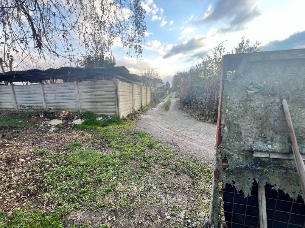 immagine annuncio 7 di 15