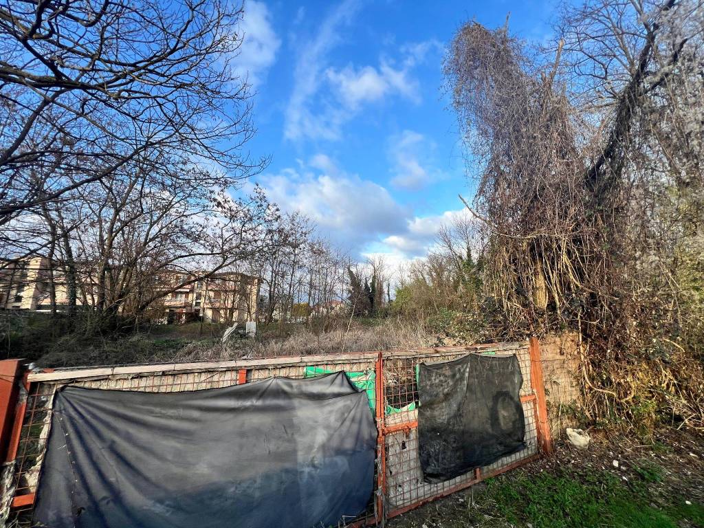 immagine annuncio 11 di 15