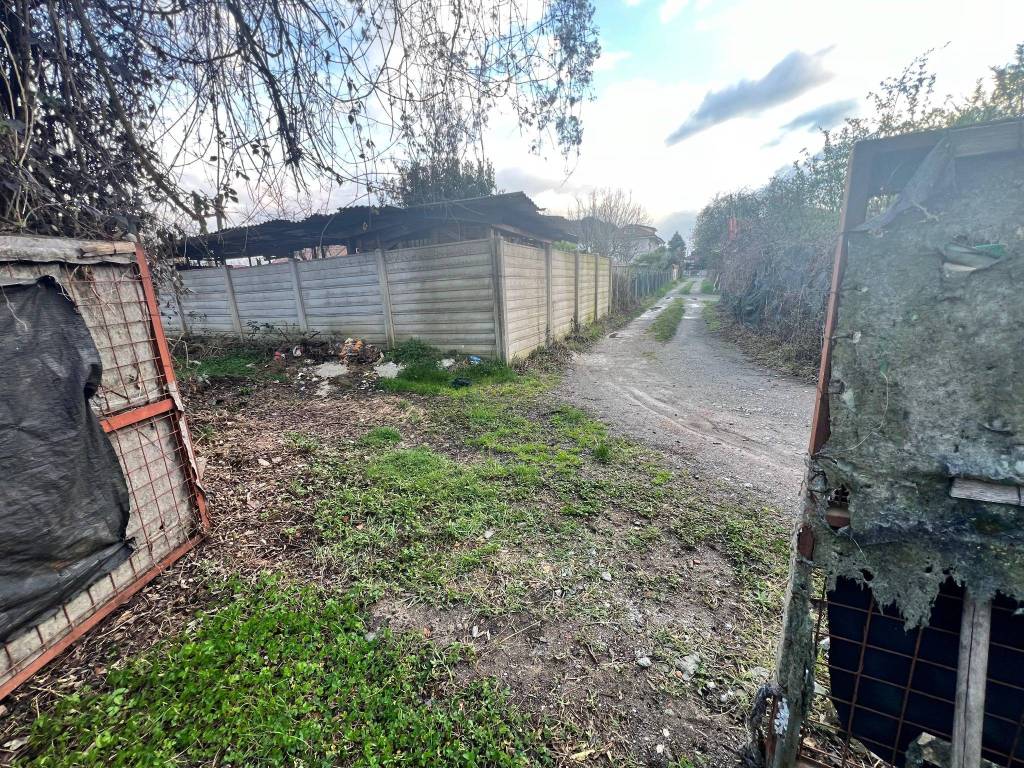 immagine annuncio 12 di 15