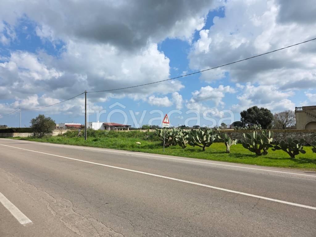 immagine annuncio 4 di 12