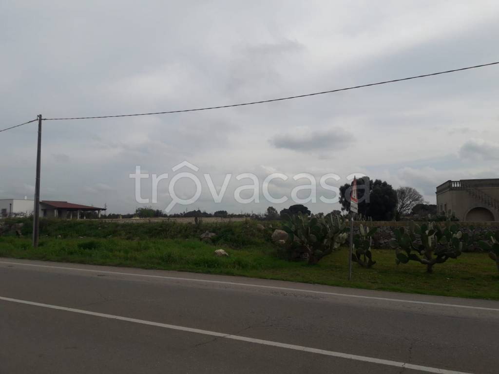 immagine annuncio 11 di 12