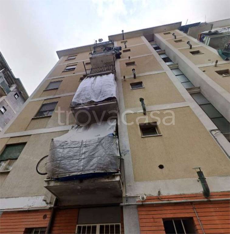 immagine annuncio 9 di 14