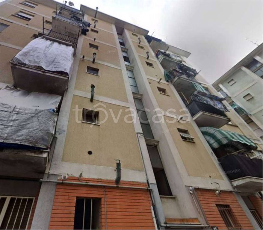 immagine annuncio 10 di 14