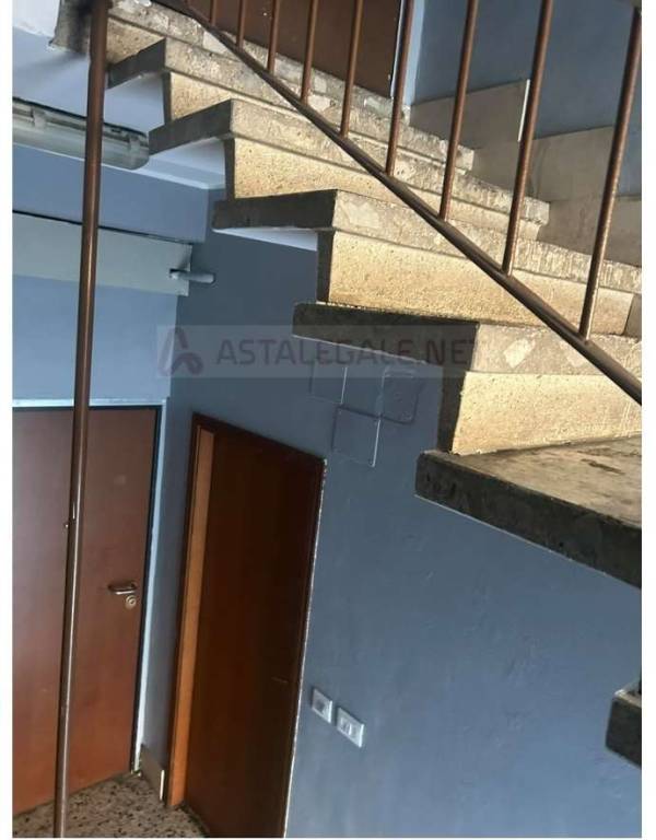 immagine annuncio 4 di 14