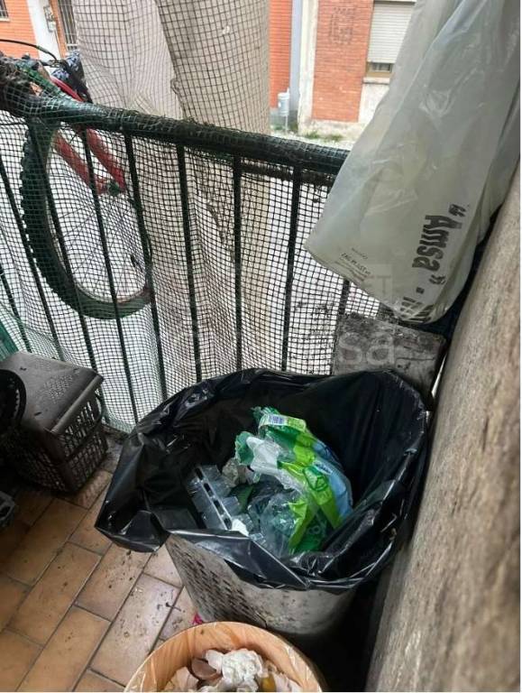 immagine annuncio 5 di 14