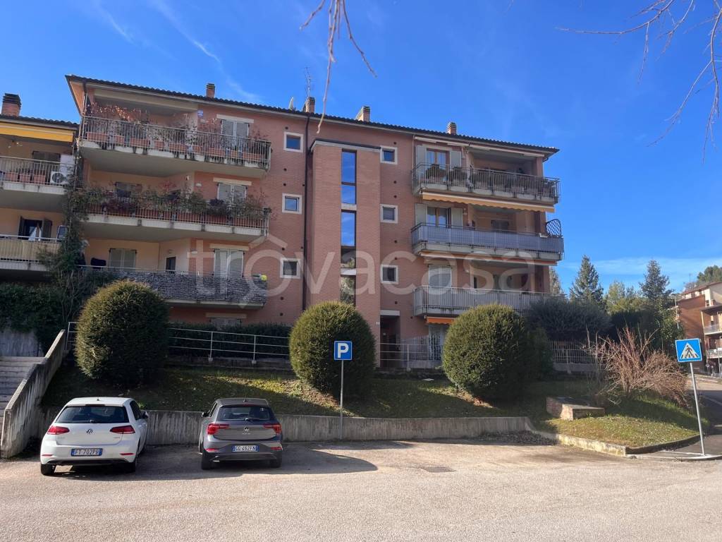 immagine annuncio 10 di 11