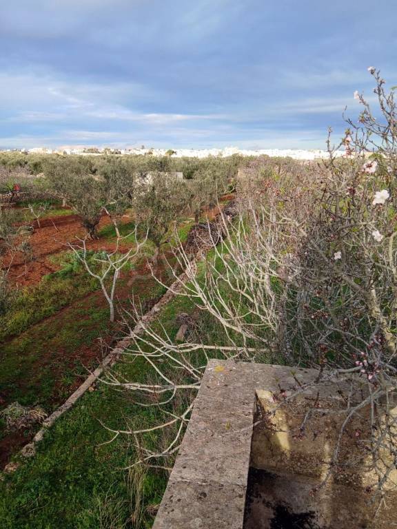 immagine annuncio 4 di 7