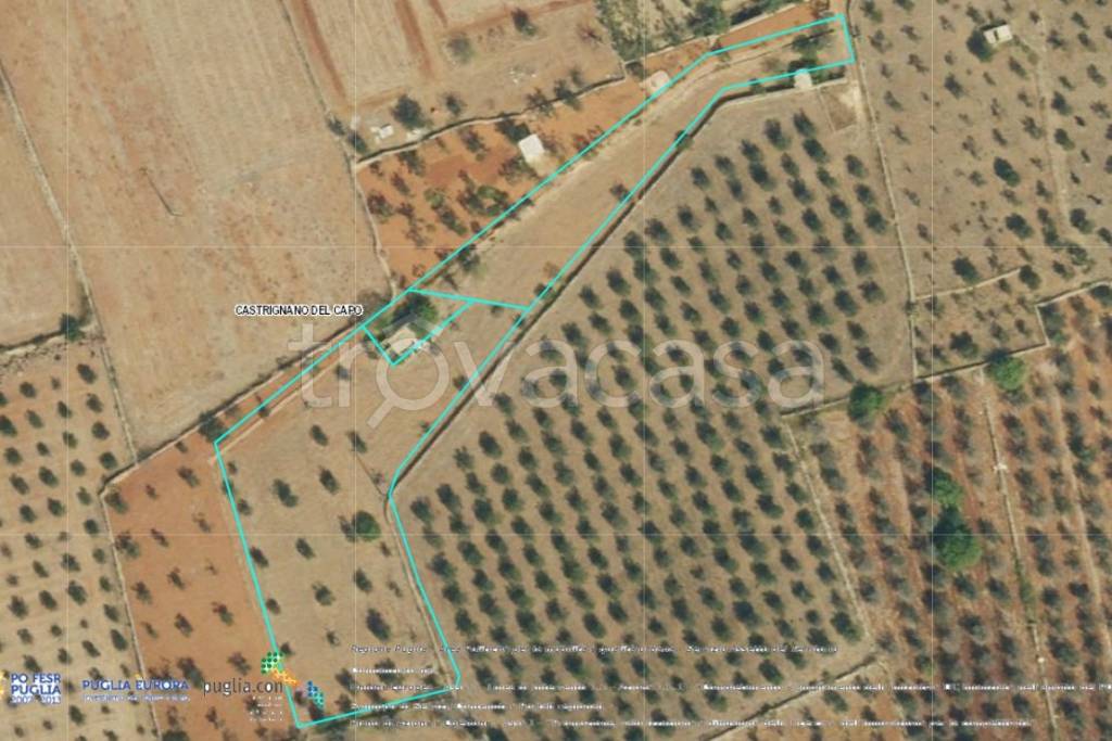 immagine annuncio 6 di 7