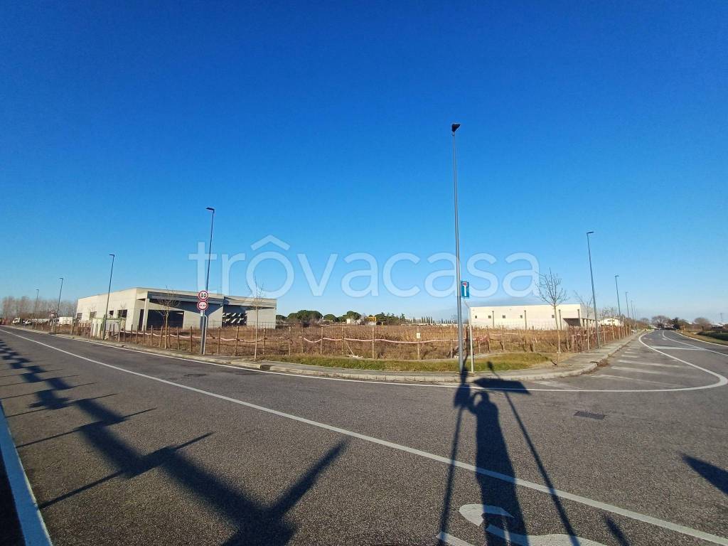 immagine annuncio 3 di 11