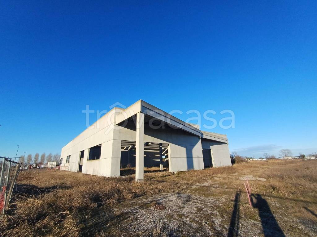 immagine annuncio 2 di 11