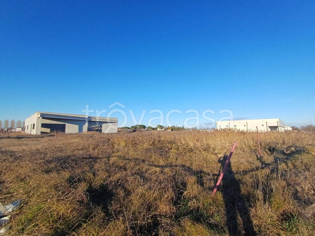 immagine annuncio 4 di 11