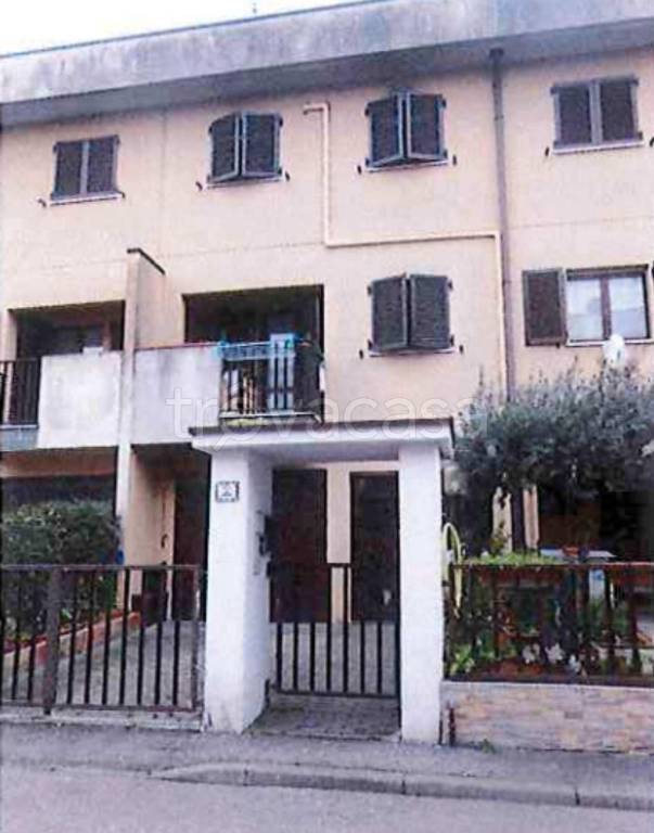 immagine annuncio 2 di 12