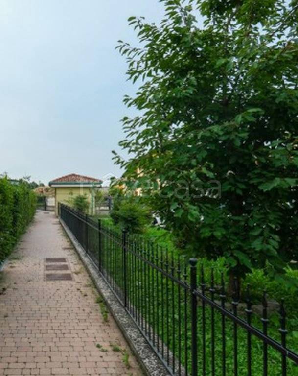 immagine annuncio 3 di 11