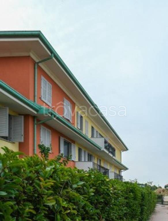 immagine annuncio 4 di 11