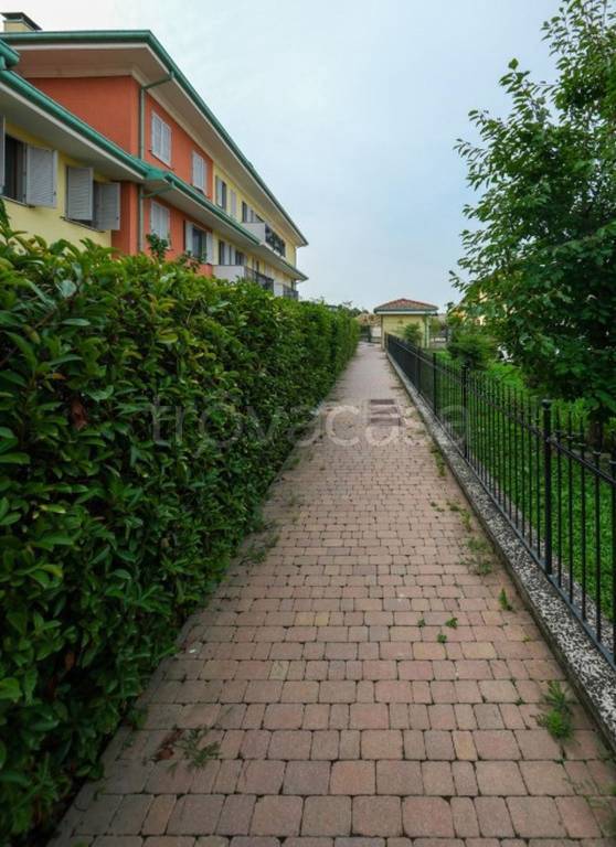 immagine annuncio 5 di 11