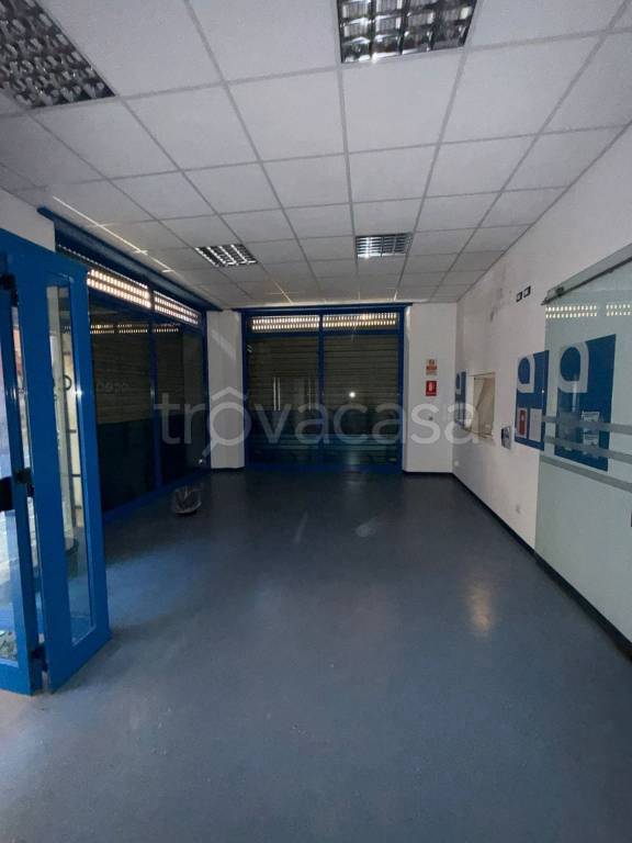 immagine annuncio 2 di 7