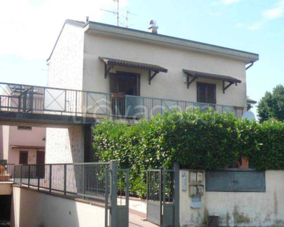 immagine annuncio 1 di 12