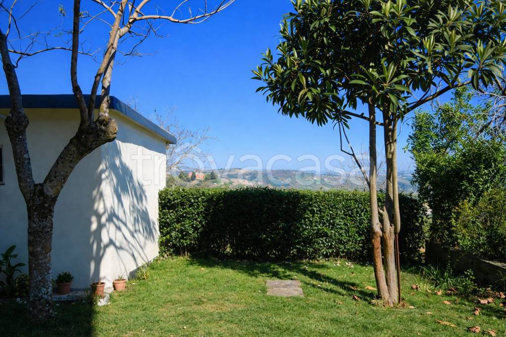 immagine annuncio 4 di 9