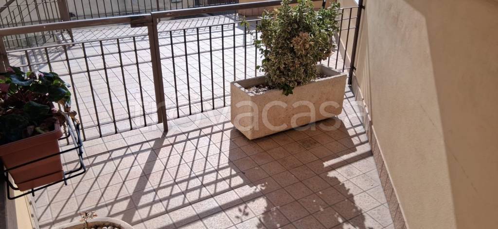 immagine annuncio 10 di 13