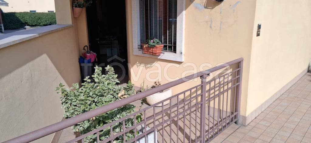 immagine annuncio 11 di 13