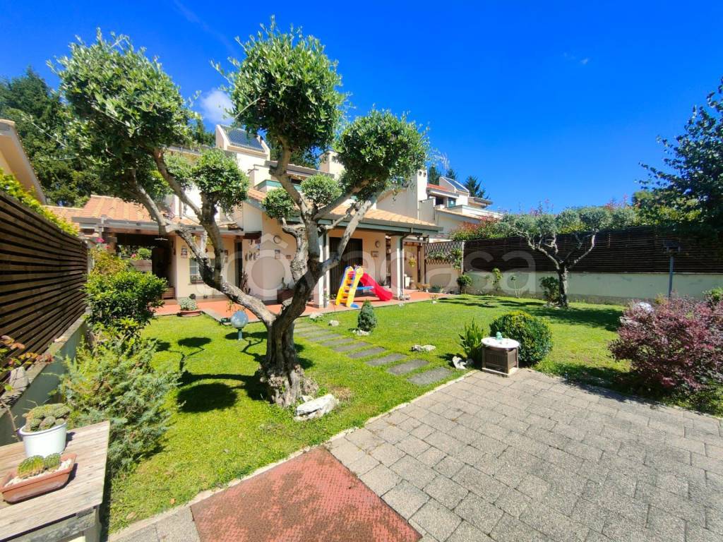 immagine annuncio 7 di 15