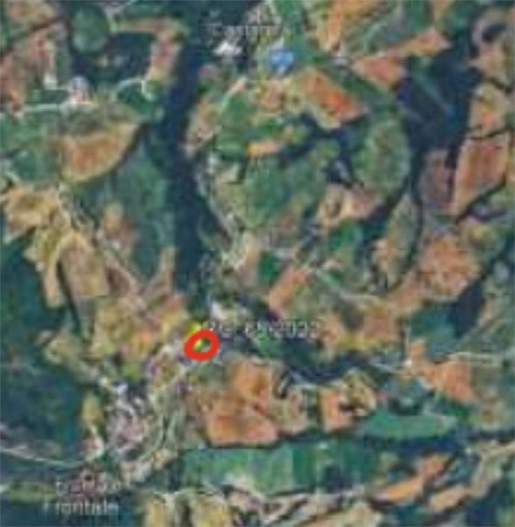 immagine annuncio 3 di 11