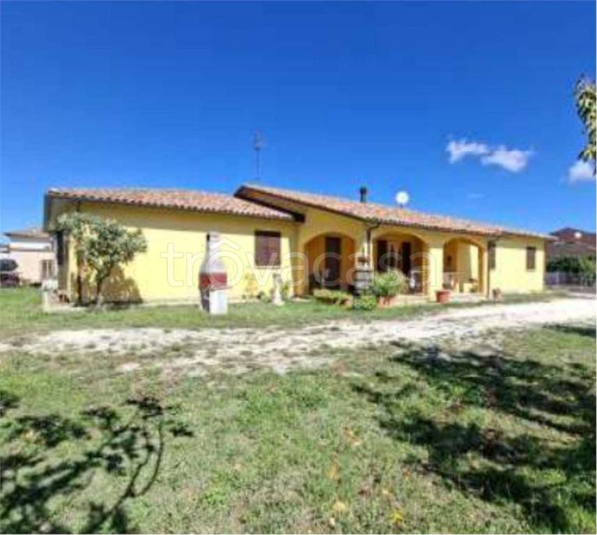 immagine annuncio 8 di 11