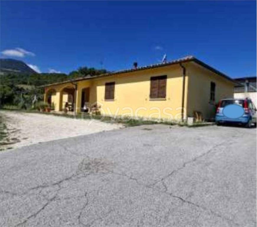 immagine annuncio 9 di 11