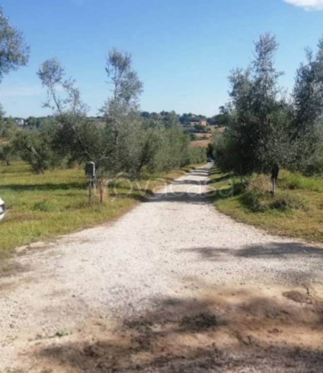 immagine annuncio 8 di 10