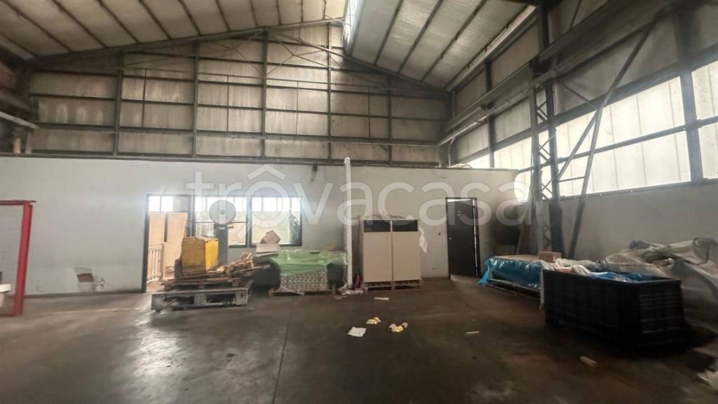 immagine annuncio 4 di 9