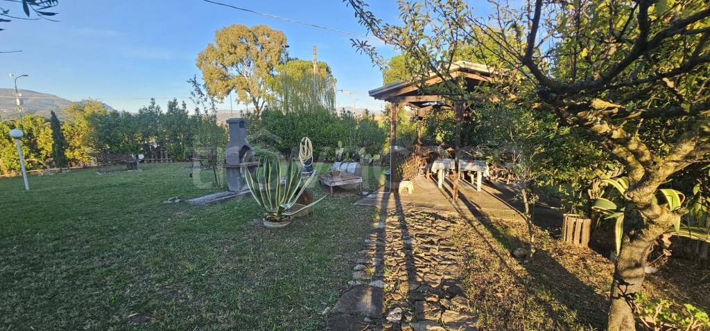 immagine annuncio 2 di 14