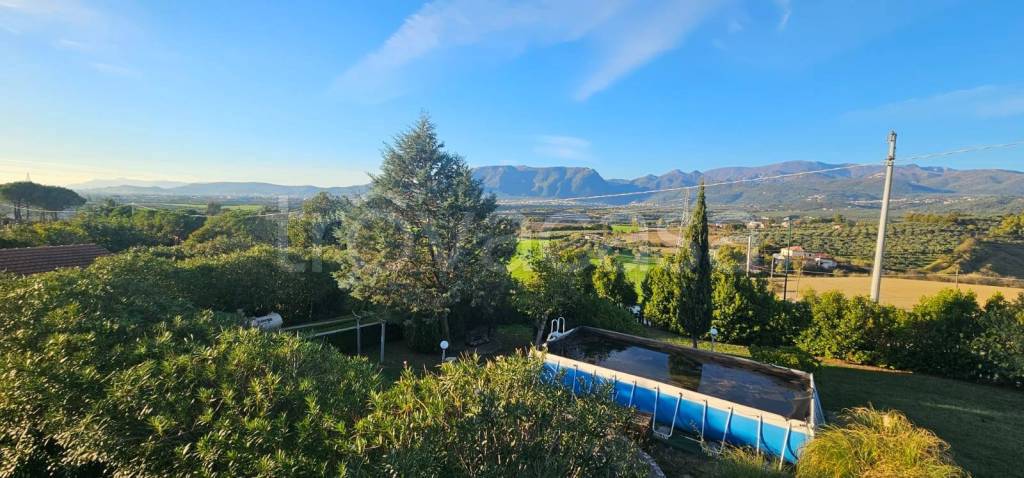 immagine annuncio 10 di 14