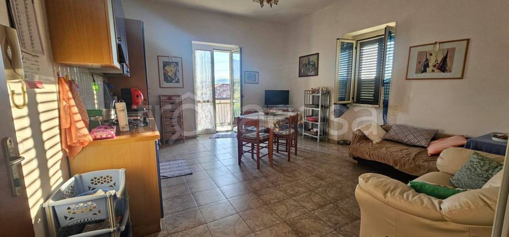 immagine annuncio 11 di 14