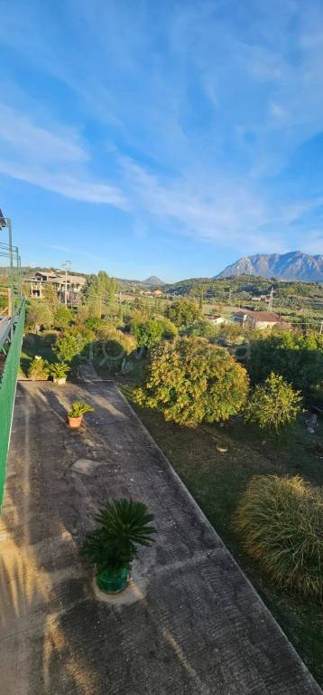 immagine annuncio 12 di 14